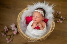 Edwige BAYON - EDWIGE BAYON PHOTOGRAPHE
