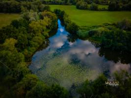 Jérémie MOLARO - F & F PHOTOGRAPHIE